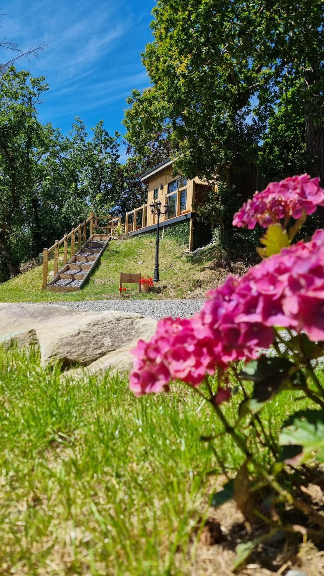 The Duck House Apartment Barmouth Luaran gambar